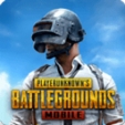 pubg国际服地铁逃生2024最新版